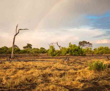 Driving Away Settlers: Drought on the Western High Plains Image